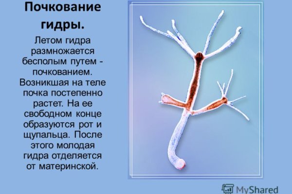 Кракен ссылки онлайн