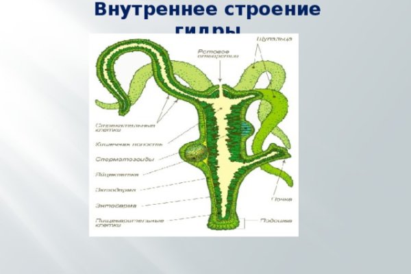 Kraken маркетплейс как зайти