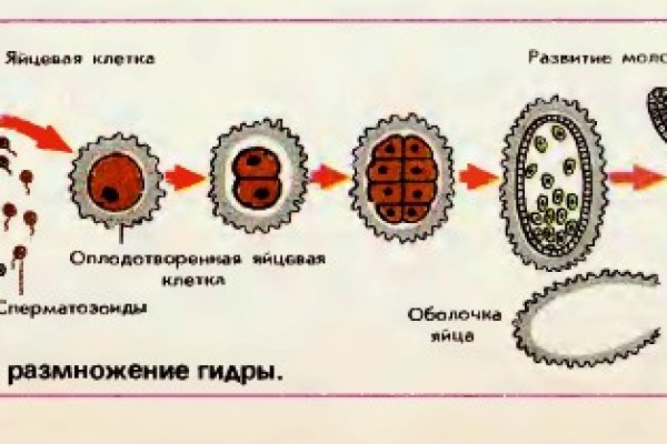 Кракен маркетплейс зайти